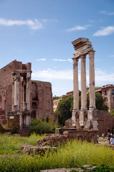 Kolumna ruin forum Romanum Widok pionowy na forum Romanum — Zdjęcie stockowe