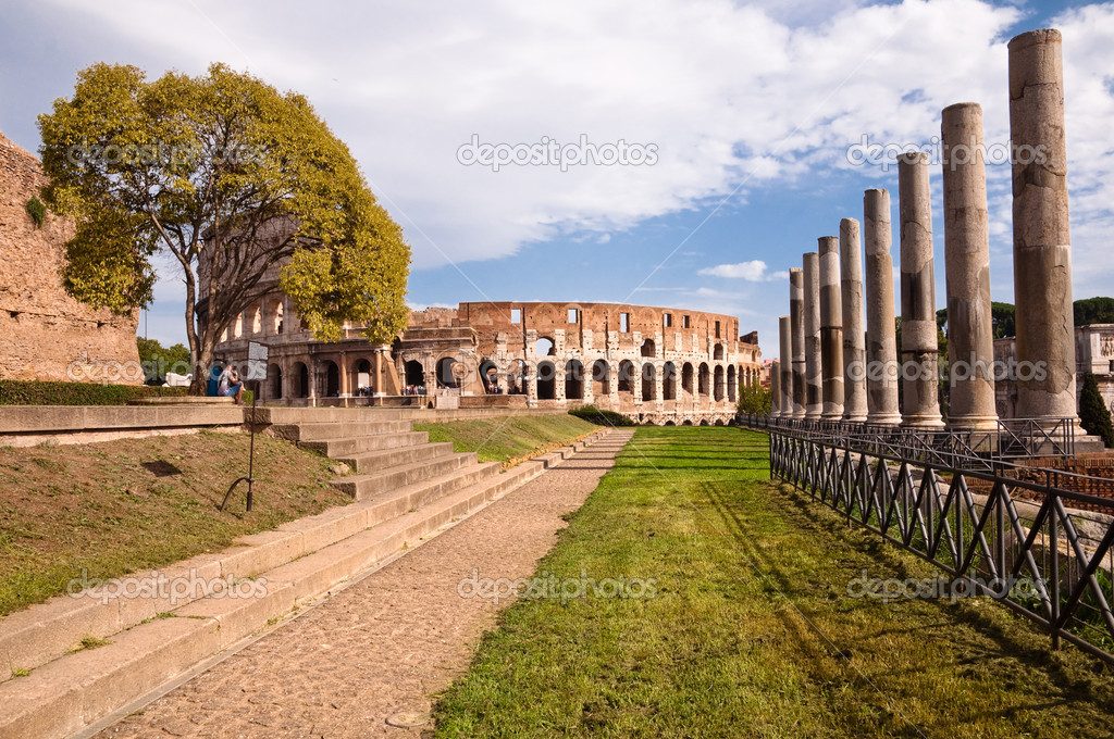 Colosseo and venus temple columns path and tree view from Roman