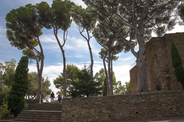बर्मेस लेस मिमोसस में कैसल दीवारों और पेड़ — स्टॉक फ़ोटो, इमेज