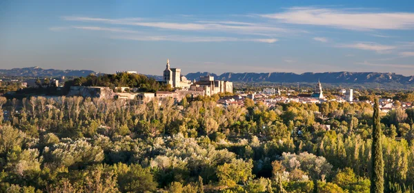 Panoramiczny widok na Stare Miasto i zielone lasy avignon — Zdjęcie stockowe