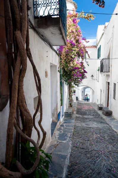 Ulice roślin i łuki wewnątrz miasta Cadaqués — Zdjęcie stockowe