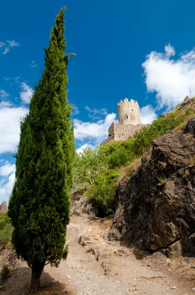 Regina del Pino y La Tour en Lastours — Foto de Stock