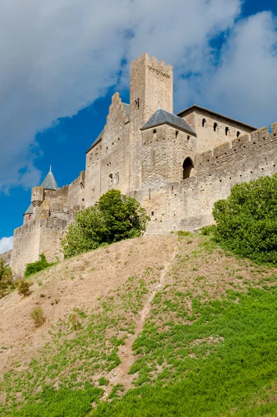 Chateaux de la cite vista de fora paredes vertical vista lateral em C — Fotografia de Stock