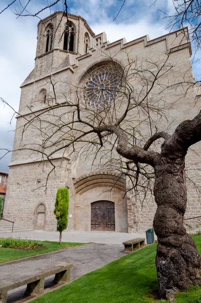 Katedrála v Saint michel a strom v carcassonne — Stock fotografie