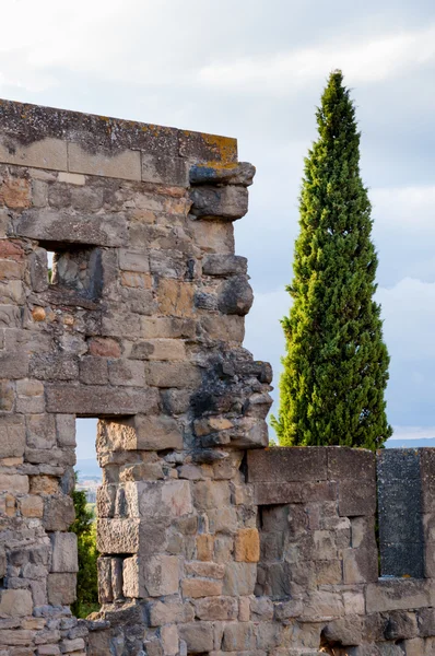 Деталь стіни від середньовічного міста Каркассон — стокове фото