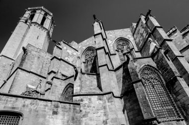 Barcelona katedral santa eulalia duvarlar arka ve Ayrıntılar kule