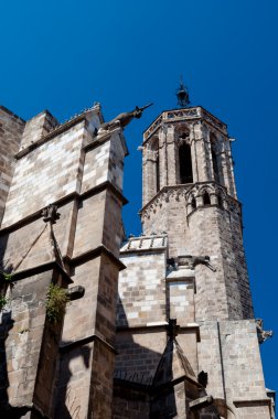 Barcelona katedral santa Baki geri duvarlar ve kule