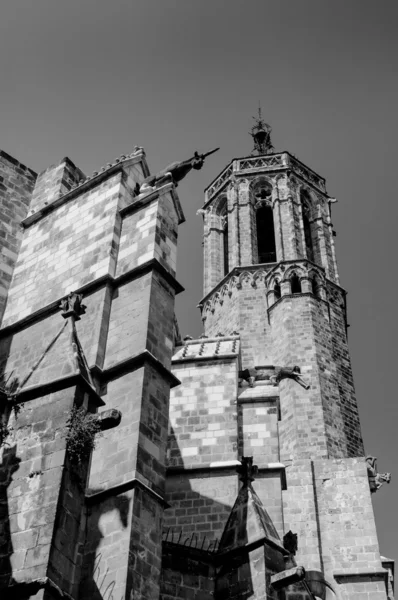 Barcelona katedrály santa eulalia zadní stěny a věže — Stock fotografie