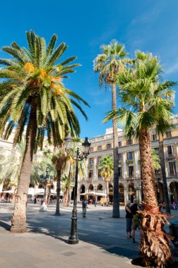 avuç içi plaza reial, barcelona
