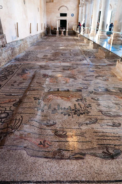 迪阿奎莱亚大教堂内的古镶嵌 — 图库照片
