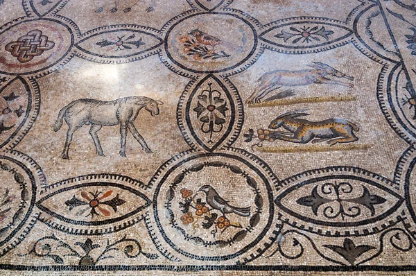 Animal mosaics inside Basilica di Aquileia — Stock Photo, Image