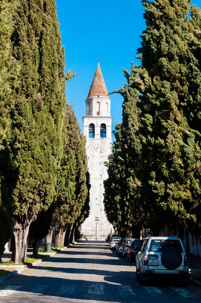Aquileia belfry ağaçlarıyla çevrili — Stok fotoğraf