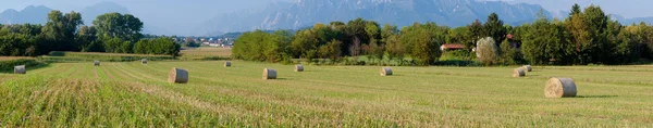 Vista panorámica del campo de rodillos de heno —  Fotos de Stock