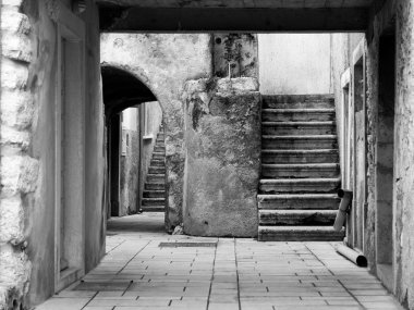 cres sokaklarda şehir içinde b&w