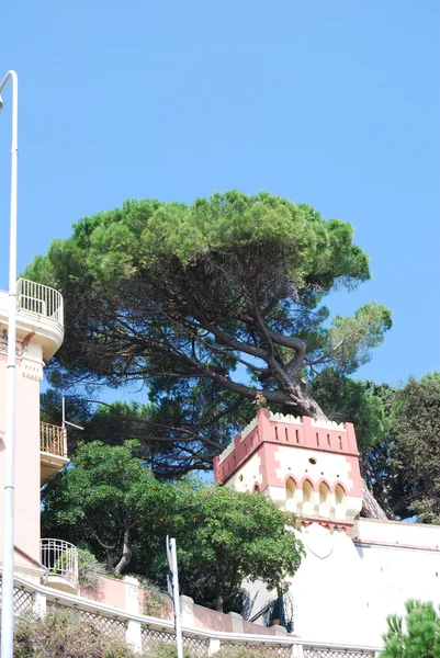 A tenger Liguria, Olaszország celle ligure — Stock Fotó