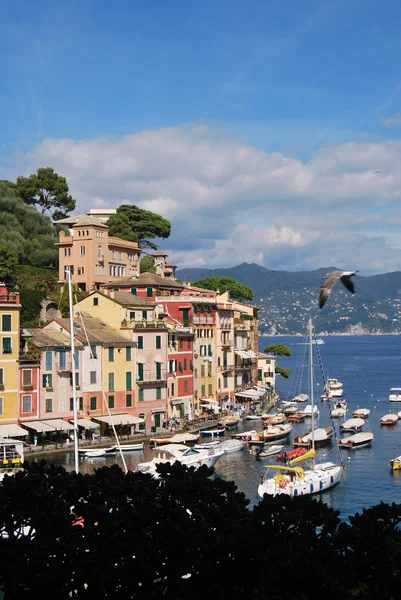 De camino a Portofino, Liguria, Italia — Foto de Stock