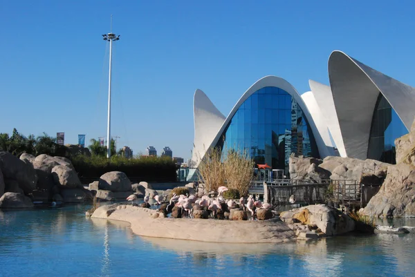 Stadt der Wissenschaften in Valencia, Spanien — Stockfoto