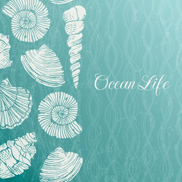 Vector background with sea shells — Stock Vector