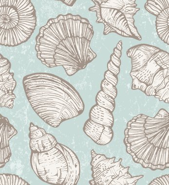 Deniz kabukları ile vektör desen