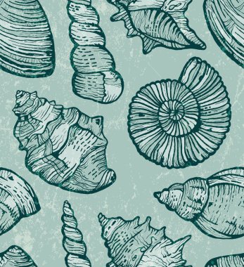 Deniz kabuğu sorunsuz arka plan.