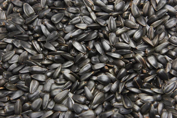 siyah ayçiçeği tohumu