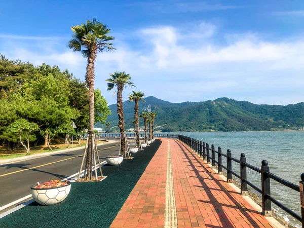 Piękna Promenada Palmami Korea Południowa — Zdjęcie stockowe