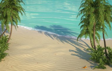 Caribbean beach kuş bakışı