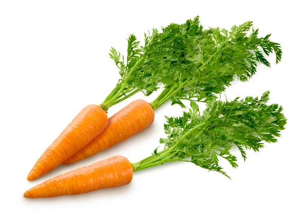 Carottes isolées sur blanc — Photo