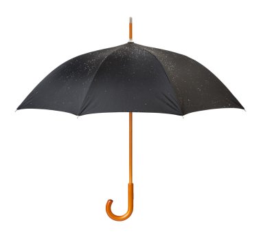 Wet Umbrella isolated clipart