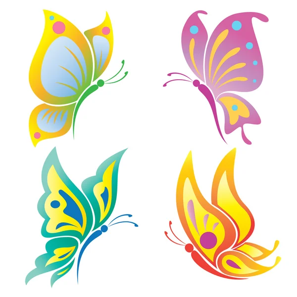 Beautiful butterfly — Stock Vector