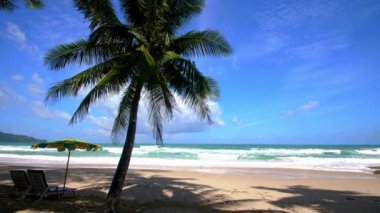 4K Tatil Yaz Tatili Konsepti. Sahilde hindistan cevizi palmiyesi. Güzel tropikal deniz manzaralı Phuket Adası 'ndaki hindistan cevizi palmiyesi Tayland' ın ünlü turistik beldesi Andaman Denizi Özgürlük Kumsalı