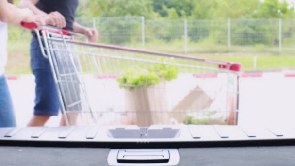 Ein Ehepaar Spaziert Mit Einkaufswagen Und Einkaufstasche Voller Obst Und — Stockvideo