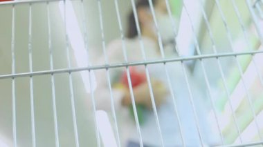 Süpermarkette koruyucu yüz maskesi takan Asyalı bir kadın. Kadın, yiyecek bir şeyler almak için bakkal arıyor. Covid-19 'dan sonra yeni normal. Aile kavramı. Kamera Hareketi Teknikleri.