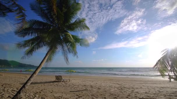 Концепция Летнего Отдыха Кокосовая Пальма Пляже Кокосовая Пальма Красивом Морском — стоковое видео