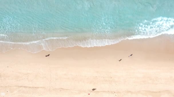 Aerial Drone Top View Πλήθος Των Ανθρώπων Στην Τροπική Παραλία — Αρχείο Βίντεο