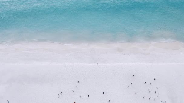 Drone Aéreo Vista Superior Multidão Pessoas Praia Tropical Com Pôr — Vídeo de Stock