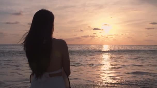 Πλάτη Άποψη Όμορφες Γυναίκες Στέκονται Στην Παραλία Ηλιοβασίλεμα Oversea Ευτυχισμένες — Αρχείο Βίντεο