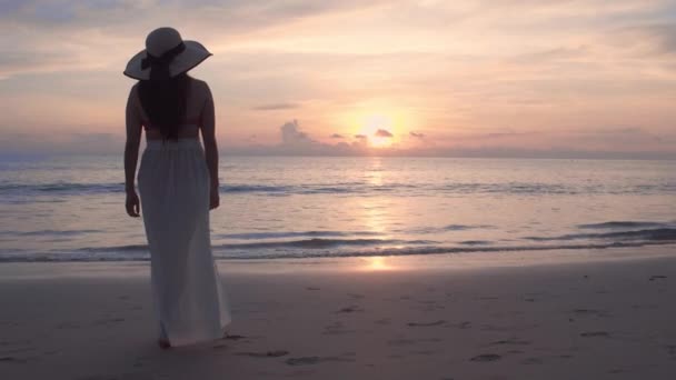 Frauenfüße Zeitlupe Gehen Barfuß Strand Bei Goldenem Sonnenuntergang Spuren Sand — Stockvideo