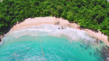 4K Hava Aracı güzel mavi deniz manzaralı. Hindistan cevizi palmiyeli plaj. Mavi deniz berrak su. Özgürlük Kumsalı, Phuket, Tayland.