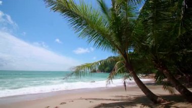 4K Tatil Yaz Tatili Konsepti. Sahilde hindistan cevizi palmiyesi. Güzel tropikal deniz manzaralı Phuket Adası 'ndaki hindistan cevizi palmiyesi Tayland' ın ünlü turistik beldesi Andaman Denizi Özgürlük Kumsalı