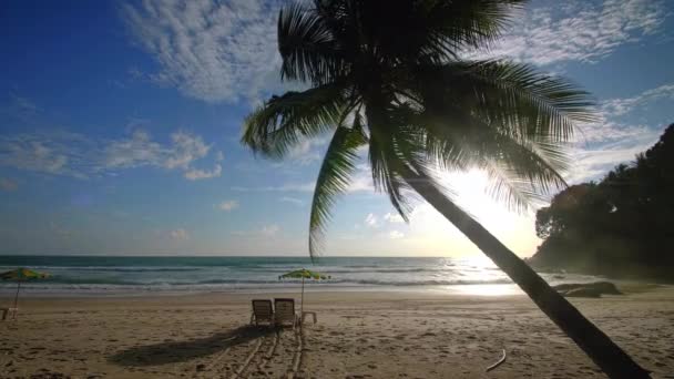 4Kホリデー休暇夏のコンセプト ビーチでヤシの木 美しい熱帯海岸のヤシの木 風光明媚なプーケット島タイの有名な観光地アンダマン海の自由のビーチ — ストック動画