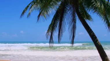 4K Tatil Yaz Tatili Konsepti. Sahilde hindistan cevizi palmiyesi. Güzel tropikal deniz manzaralı Phuket Adası 'ndaki hindistan cevizi palmiyesi Tayland' ın ünlü turistik beldesi Andaman Denizi Özgürlük Kumsalı