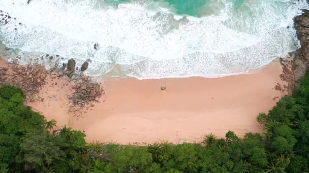 Aerial Drone Top View Beautiful Beach Blue Sea Beach Coconut — Stock Video