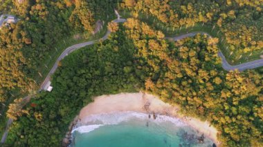 4K Areal İHA 'sı Phuket Thailand kıyı yolunun kıvrımlarına tepeden bakıyor. Phuket kıyı şeridi üzerinde güzel bir deniz aracı, ünlü bir turizm merkezidir. Plajın çevresindeki en iyi trafik yolu.