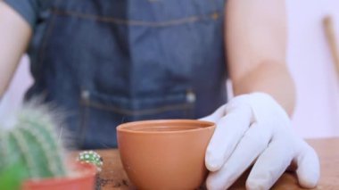 Kadının elini kapayın ve saksılara toprak serpin. Eldiven giyen kadın eller kaktüs ağaçlarına toprağı serpiyor. Yeşillik yetiştirme konsepti, ev bahçesi. Dikey görüntüler