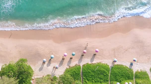 Aerial Drone Top View Crowd People Tropical Beach Sunset Phuket — Vídeo de Stock