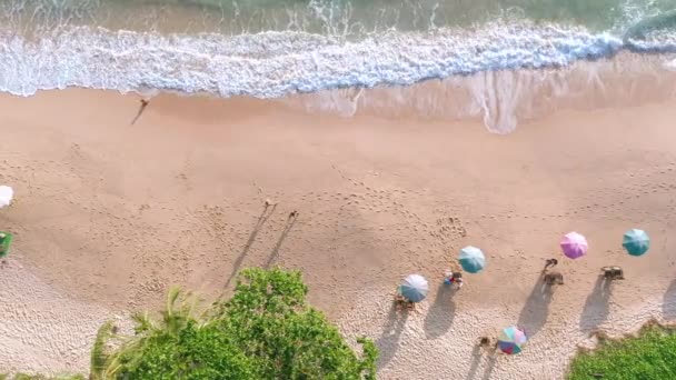 Aerial Drone Top View Πλήθος Των Ανθρώπων Στην Τροπική Παραλία — Αρχείο Βίντεο