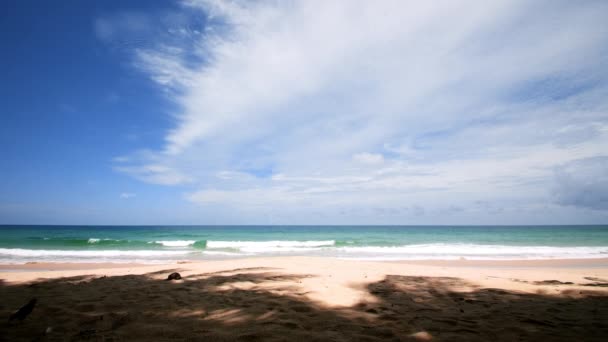 Beautiful Tropical Beach Blue Sky Clouds Tropical Beach Waves Crashing — Stock video