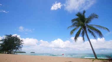 4K Tatil Yaz Tatili Konsepti. Sahilde hindistan cevizi palmiyesi. Güzel tropikal deniz manzaralı Phuket Adası 'ndaki hindistan cevizi palmiyesi Tayland' ın ünlü turistik beldesi Andaman Denizi Özgürlük Kumsalı
