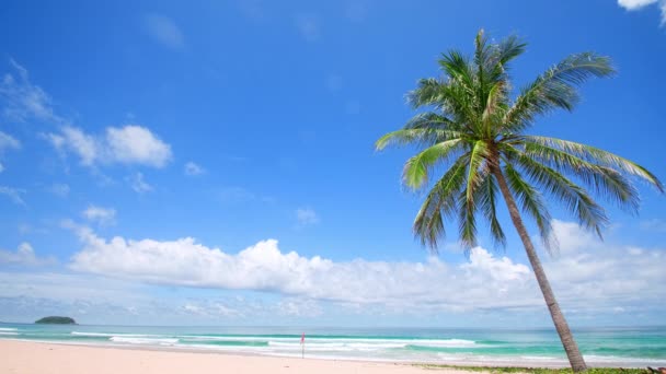 4Kホリデー休暇夏のコンセプト ビーチでヤシの木 美しい熱帯海岸のヤシの木 風光明媚なプーケット島タイの有名な観光地アンダマン海の自由のビーチ — ストック動画